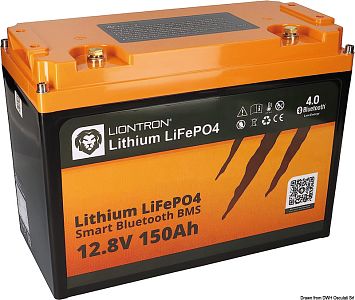 Литиевая аккумуляторная батарея LIONTRON Ah100 с BMS