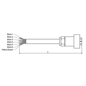 Cable from EC*EE to gearbox L=3M 6 wires (арт. ECG3/6)